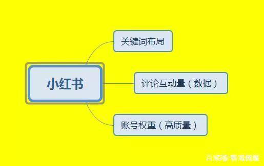 杭州哇鸥科技小红书运营种草推广策略 杭州哇鸥科技小红书运营种草推广策略