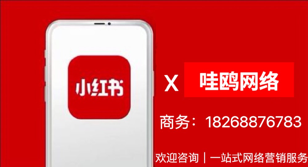 小红书抖音推广公司