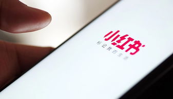 服装品牌如何利用小红书实现种草营销